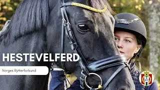 Hestevelferd - et godt liv for hesten!