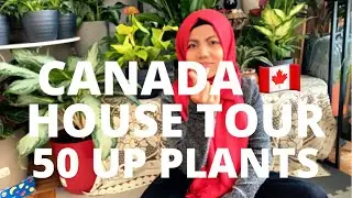 HOUSE TOUR || AIR PURIFYING PLANTS || 50 UP ANEKA TANAMAN