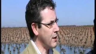 DESPIERTA UN GÉISER EN BOLAÑOS DE CALATRAVA