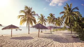 Cuban Vacation | WestJet Vacations