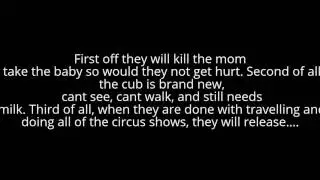 Save The Big Cats! -Save The Tigers-