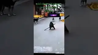 old player monkey 🐒🐒🐵🐵🥹🥺🙏