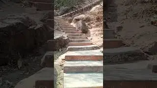 503 stairs to climb Jaychandi pahar #jaychandipahar #shorts
