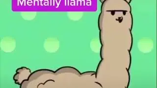 Types of llama
