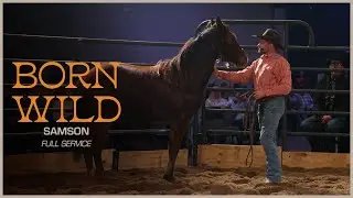 Samson | Todd Pierce and Riding High Ministries | Full Service