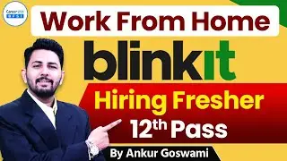 Blinkit Work From Home Jobs 2025 | 12th Pass Freshers Hiring | Easy Online Work | BFSI Career247
