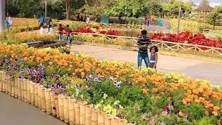 malambuzha garden