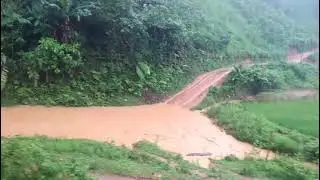 Dej loj. nas lus cuav liai