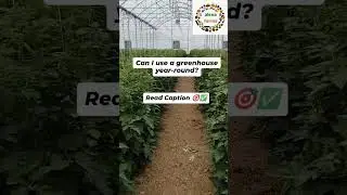 #GreenhouseFarming #YearRoundGrowing #ControlledEnvironment #SustainableAgriculture