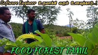 🌱🥰இயற்கை எழில் கொஞ்சும் கல்வராயன் மலை அடிவாரத்தில் உருவாகும் உணவுக்காடு | Food Forest Tamil 🌱🥰