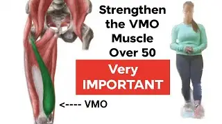 Strengthen the VMO Muscles Over 50 | IMPORTANT for Leg Strength as we Age | Build Muscle Over 50