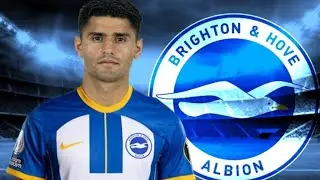 Mahmoud Dahoud the Gundogan-Esque Brighton Midfielder
