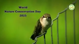 Protect Nature, Preserve Our Future। July 28, 2025 &ndash; Nature Conservation Day । WHY?