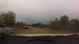 Kruger Park Holiday December 2015