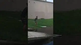 Surf anywhere we dont give a shit