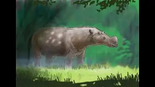 Эоцен