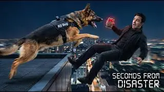 🐾 K9 Hero Takes Down Rooftop Sniper | Cinematic Action | K9 Dog