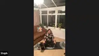 Warrior Yoga (With Cats and Dogs!)