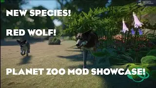 Mod Showcase RED WOLF!!! New Species! Modded Planet Zoo!!