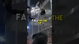 How To Fall From Hell In A Cell! 😳