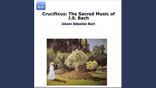 St. John Passion, BWV 245: Ruht wohl, ihr heilige Gebeine