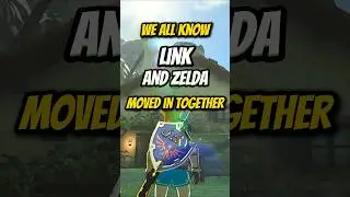 The Sad Reason Link Moved | Zelda Theory