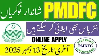 PMDFC New Jobs 2025 | Punjab Municipal Development Fund Company Vacancies | Apply Online