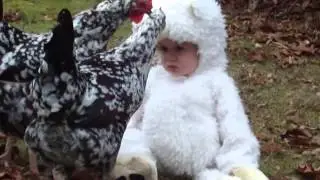 Adorable Baby Dressed as Lamb Confuses Chickens