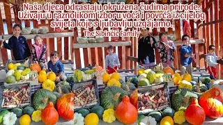Na&scaron;a djeca odrastaju okružena čudima prirode | The Sibinčić Family