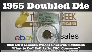 1955 Doubled Die Lincoln Wheat Cent PCGS MS63BN - What to Do? Sell As Is, CAC, Conserve?
