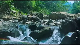 Peaceful River Flow Sounds for Sleeping Deep Relaxation Gentle Water Ambience All Night