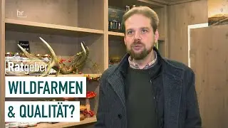 Wildfleisch aus dem Discounter &ndash; Voll in Ordnung oder Finger weg? | die Ratgeber