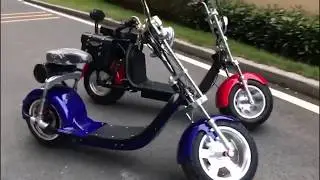 EEC approved Citycoco Harley electric scooter from Rooder Group factory HK Shansu Technology Limited