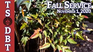 TS/DBT Fall Service November 1, 2020