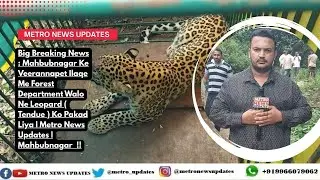 Breaking News : Mahbubnagar Ke Veerannapet Ilaqe Me Forest Department Walo Ne Leopard Ko Pakad Liya