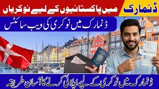 How To Apply For Job In Denmark | Denmark Work Visa 2025 | Travel With Arslan
