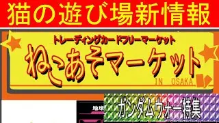 ねこあそマーケット開催！はー君がどんなものを出すか一部だけ動画にしてみたよ！【#ガンダムウォー】