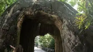 Palm Beach ZOO