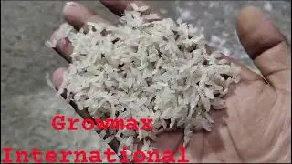 BIS Approved Fortified Rice Kernel Plant ( Pilibhit  U.P) For more details 9958107717