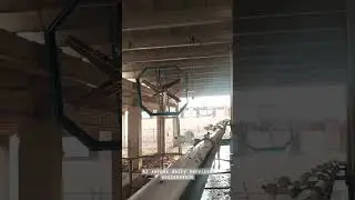 dairy fan cooling system