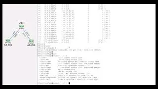 4. BGP redistribution | Announce networks in the BGP