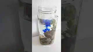 Song of the sea Nolwenn Leroy inspired decor idea #nolwennleroy #song #sea #diy #decor