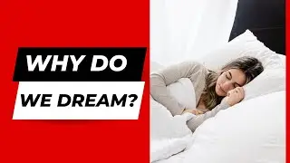Why Do We Dream?  Exploring Theories Behind our Nightly Adventures | PSYCHE TIPS 07