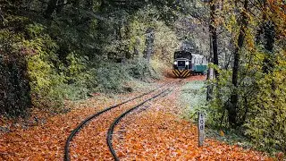 Train in the woods #train #trainenthusiast #woods #hills #hike #australia #trainphotography #hiker