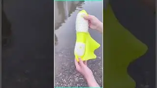 Waterproof Shoe Cover.