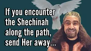 Ki Tetzeh: What&rsquo;s Behind the Torah&rsquo;s Most Mysterious Commandment?  #torah  #shiluach_haken #hassidut
