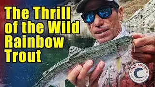 Bullards Bar Secret: Why Incoming Water = Winter Trout Madness
