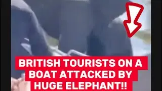 ELEPHANT ATTACKS BRITISH TOURISTS  IN BOTSWANA 