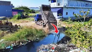 Fresh Start project! Truck 5Ton Transport Land filling, Bulldozer D20P Pouring into Water