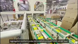 Case packaging for Noodles box pick and place
